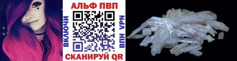APVP СК КРИС Стародуб
