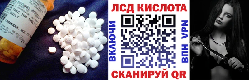 ЛСД экстази кислота  hydra рабочий сайт  Стародуб  где найти  